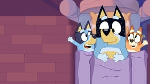 Pequeñas historias de Bluey — foto 6