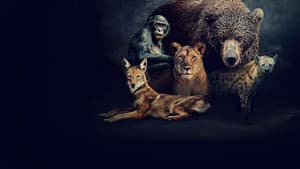 Reinas del mundo animal — foto 5