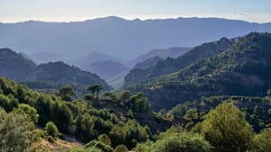 Les forêts des sommets — foto 1