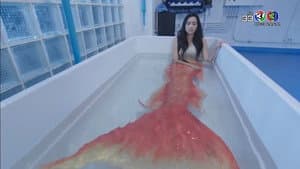 Episodio 5