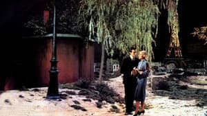 Marguerite de la nuit — foto 2