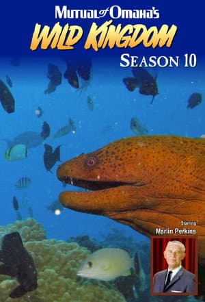 Temporada 10