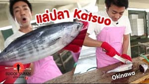 Episodio 141
