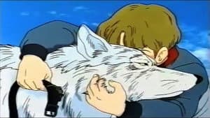 走れ！白いオオカミ — foto 1