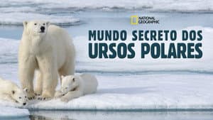 Kingdom of the Polar Bears — foto 10