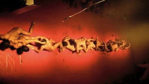 Anatomia do Fauno — foto 2