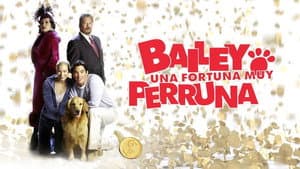 Bailey: una fortuna muy perruna — foto 2