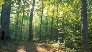 On Sacred Ground — foto 1