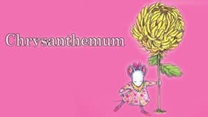 Chrysanthemum — foto 1