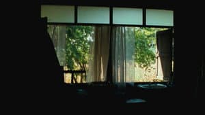 ลุงบุญมีระลึกชาติ — foto 11