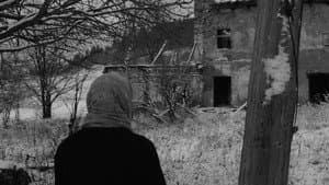 Patho Film, Wolfelsgrund — foto 9