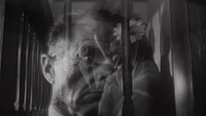 The Glass Cage — foto 1