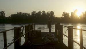 In the Wake of Ire — foto 1