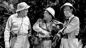Abbott y Costello: África viva — foto 3