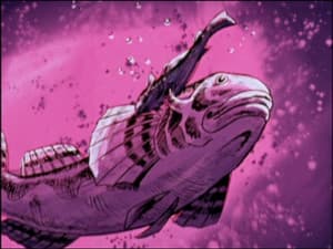 Episodio 29