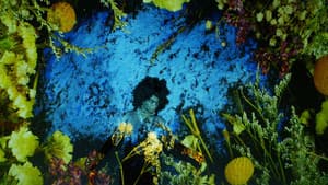 Becoming Air — foto 1