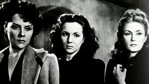Las tres ratas — foto 1