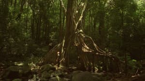 Jamojaya — foto 2