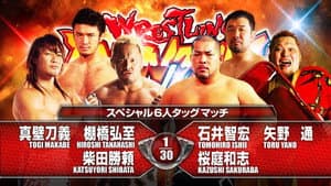 NJPW Wrestling Dontaku 2015 — foto 8