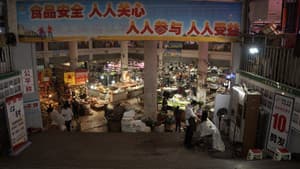 Pulse of Chongqing — foto 2