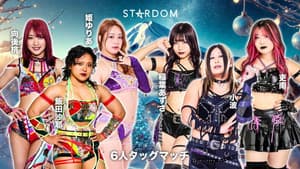 STARDOM in FUJI 2025 Dec. — foto 2