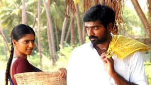 தென்மேற்கு பருவக்காற்று — foto 1