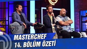 Episodio 14