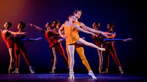 Concerto / Enigma Variations / Raymonda Act III (Royal Ballet) — foto 2
