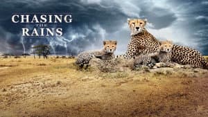 Chasing the Rains — foto 12