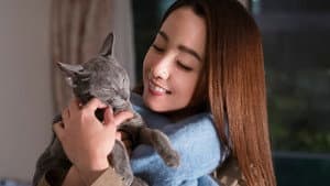 猫は抱くもの — foto 1