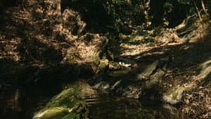 劇場版 零〜ゼロ〜 — foto 9