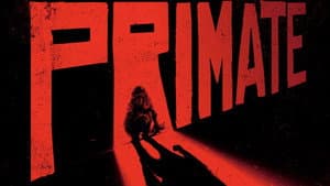Primate — foto 10