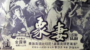 蛭魔女 — foto 1