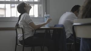 Terceirão - Um Ano, Quatro Vidas — foto 1