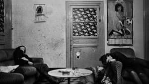 Shooting the Mafia — foto 1