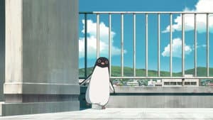 Autopista Pingüino — foto 6