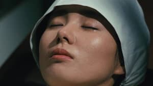 女猫 — foto 7