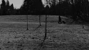 ALETHEIA — foto 1
