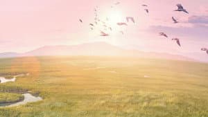 Planet Earth III — foto 3