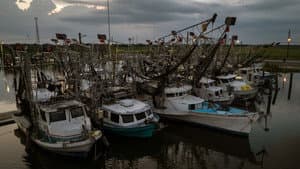 Last of the Shrimpers — foto 1
