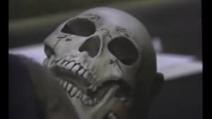 Heavy Metal Massacre — foto 1