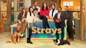 Strays — foto 4