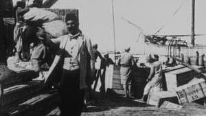 Jaffa : débarquement d’une barque — foto 1