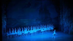 Swan Lake — foto 5