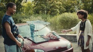 Paradiesvogel — foto 1