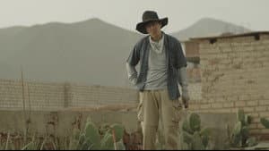 Chilca — foto 1