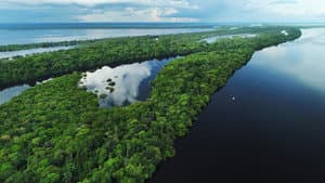 Earth's Great Rivers — foto 2