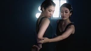 피라 — foto 1