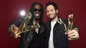 Les Victoires de la musique, 40 ans d'émotion en chansons — foto 4
