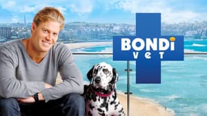 Bondi Vet — foto 1